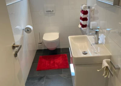 badspezialist-persch-gaeste-wc-in-klarer-moderner-gestaltung-14-01