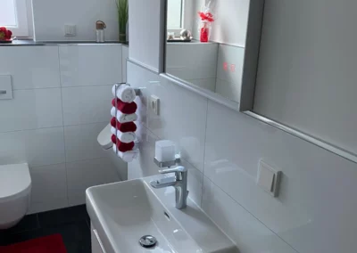 badspezialist-persch-gaeste-wc-in-klarer-moderner-gestaltung-14-02